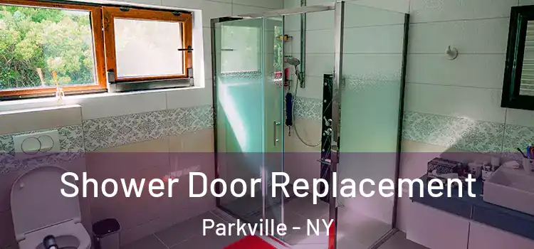 Shower Door Replacement Parkville - NY