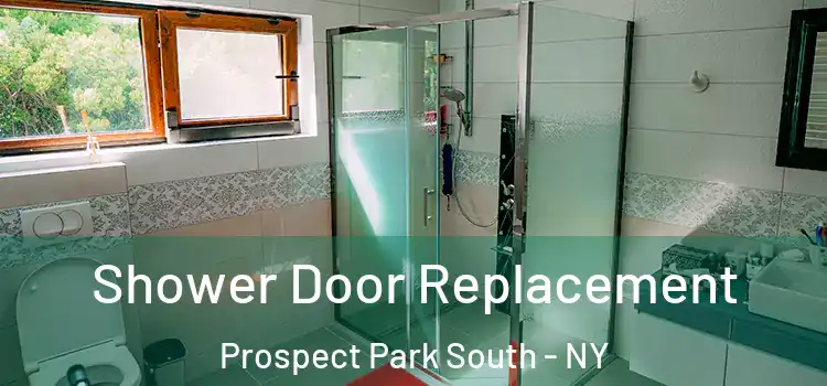 Shower Door Replacement Prospect Park South - NY