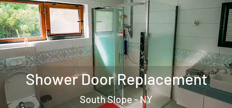 Shower Door Replacement South Slope - NY