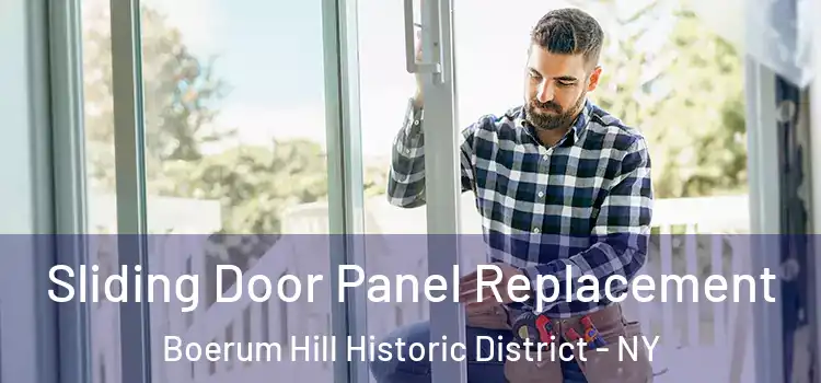  Sliding Door Panel Replacement Boerum Hill Historic District - NY
