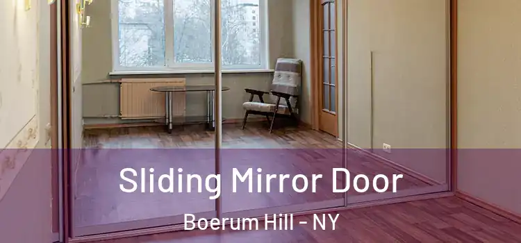  Sliding Mirror Door Boerum Hill - NY