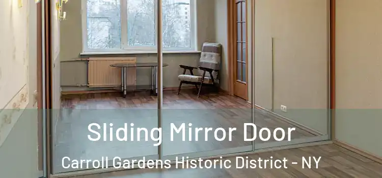  Sliding Mirror Door Carroll Gardens Historic District - NY