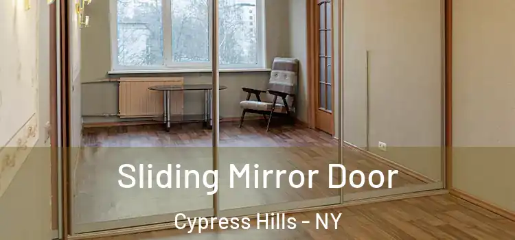  Sliding Mirror Door Cypress Hills - NY