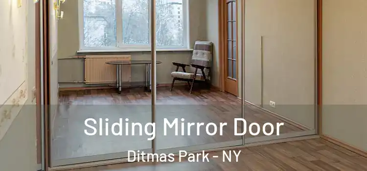  Sliding Mirror Door Ditmas Park - NY