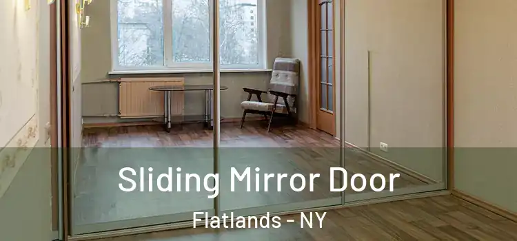  Sliding Mirror Door Flatlands - NY