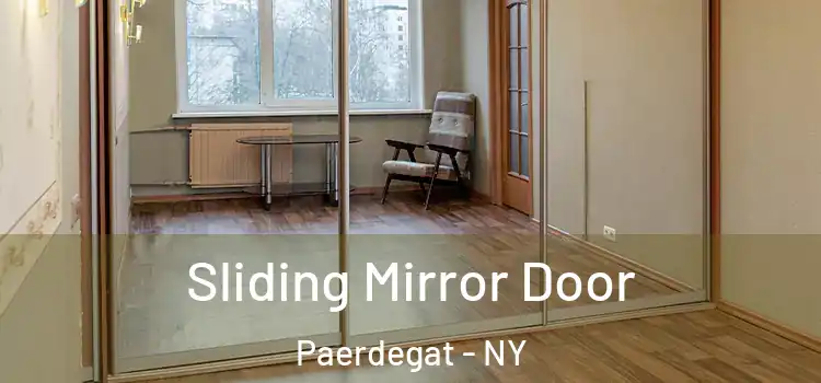  Sliding Mirror Door Paerdegat - NY