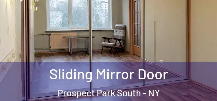  Sliding Mirror Door Prospect Park South - NY