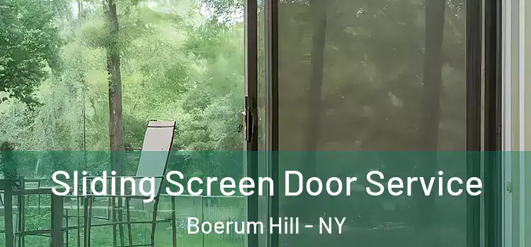 Sliding Screen Door Service Boerum Hill - NY