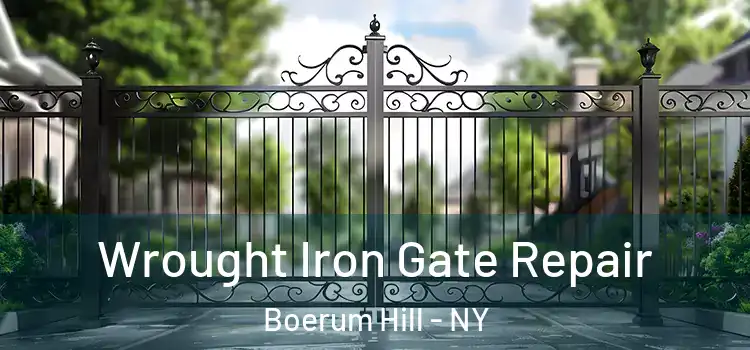 Wrought Iron Gate Repair Boerum Hill - NY
